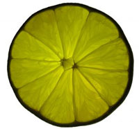 Lime